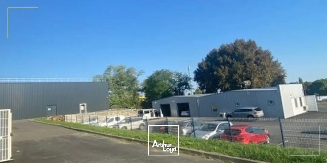 Locaux commerciaux - Location - LANGON - 33210 - 572-572 - 7741849