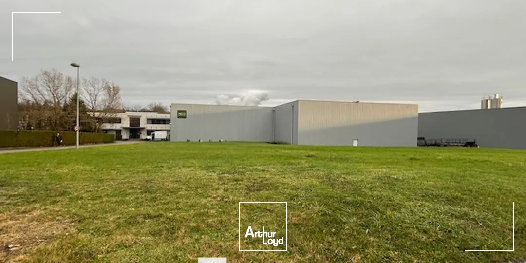 Locaux d'activité & Entrepôts - Vente - CHAPONOST - 69630 - 3198-3198 - 7743205