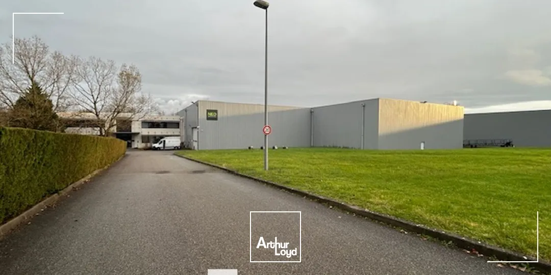 Locaux d'activité & Entrepôts - Vente - CHAPONOST - 69630 - 3198-3198 - 7743206