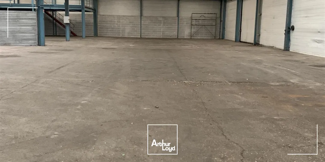 Locaux d'activité & Entrepôts - Vente - LUCE - 28110 - 1700-1700 - 7743284