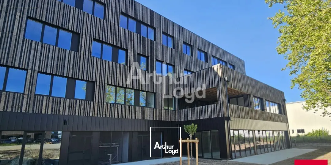 Bureaux - Vente - ANGERS - 49000 - 317-317 - 7743499