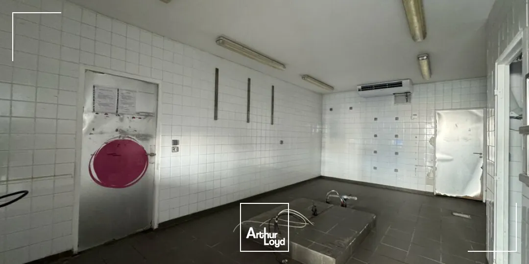 Locaux commerciaux - Location - JOUE LES TOURS - 37300 - 170-170 - 7743546