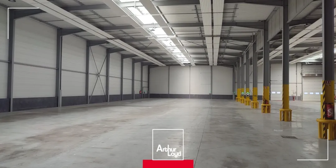 Locaux d'activité & Entrepôts - Location - POMMIERS - 69480 - 2917-2917 - 7743774