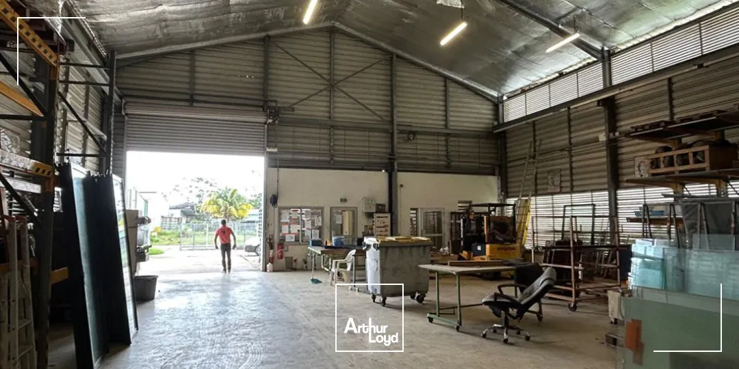 Locaux d'activité & Entrepôts - Vente - Macouria - 97355 - 450-450 - 7744265