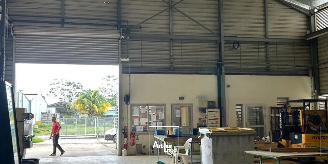 Locaux d'activité & Entrepôts - Vente - Macouria - 97355 - 450-450 - 7744266