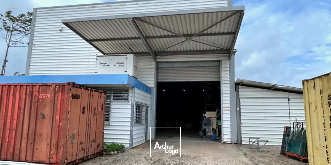Locaux d'activité & Entrepôts - Vente - Macouria - 97355 - 450-450 - 7744261