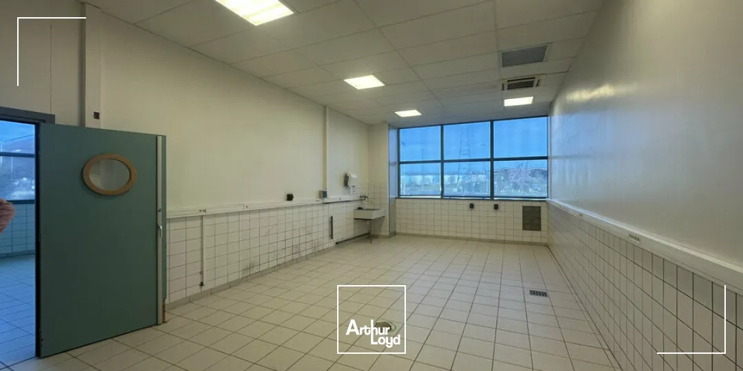 Bureaux - Location - STRASBOURG - 67000 - 500-500 - 7744332