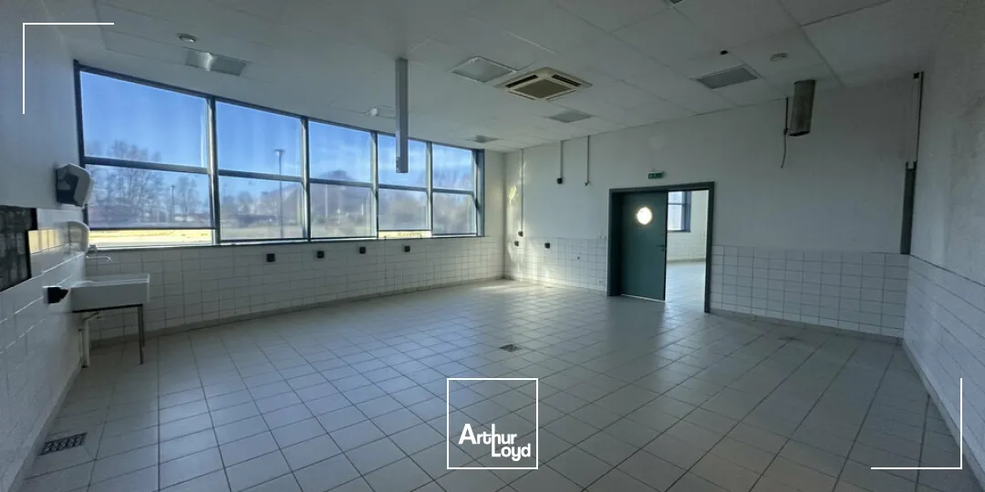 Bureaux - Location - STRASBOURG - 67000 - 500-500 - 7744335