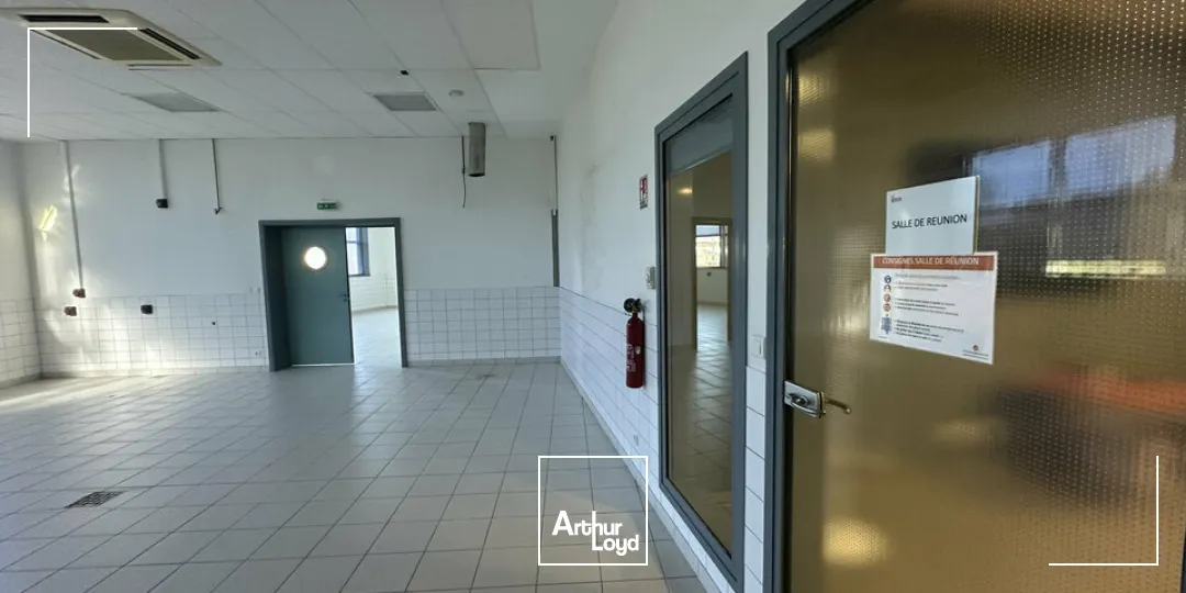 Bureaux - Location - STRASBOURG - 67000 - 500-500 - 7744340