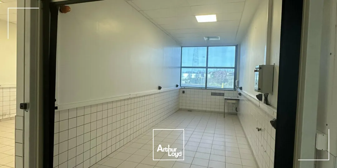 Bureaux - Location - STRASBOURG - 67000 - 500-500 - 7744341