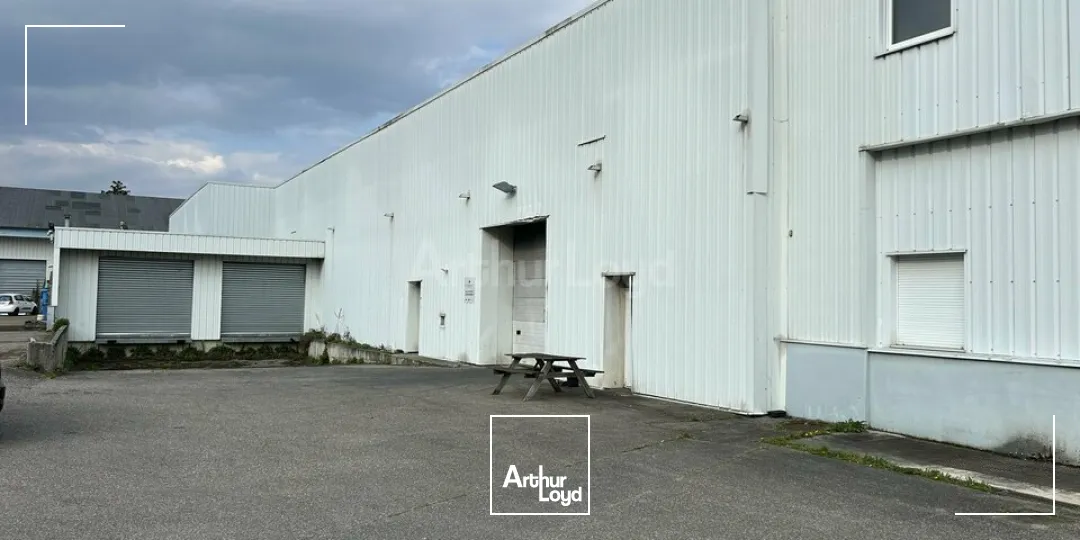 Locaux d'activité & Entrepôts - Vente - ISSENHEIM - 68500 - 2370-2370 - 7744343