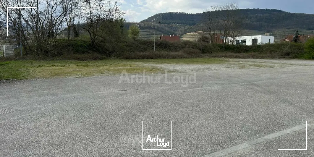 Locaux d'activité & Entrepôts - Vente - ISSENHEIM - 68500 - 2370-2370 - 7744352