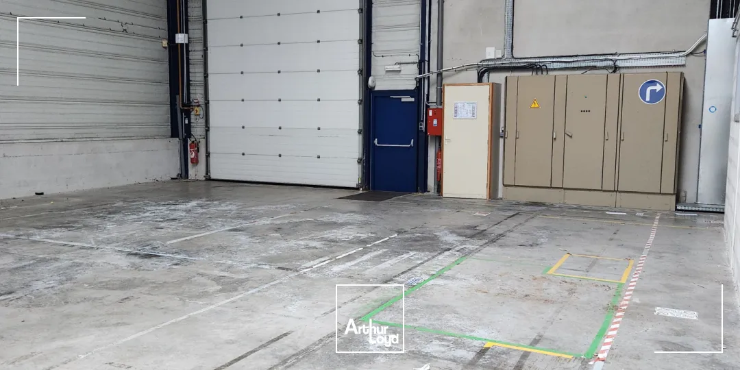 Locaux d'activité & Entrepôts - Location - Belfort - 90000 - 1905-1905 - 7744846