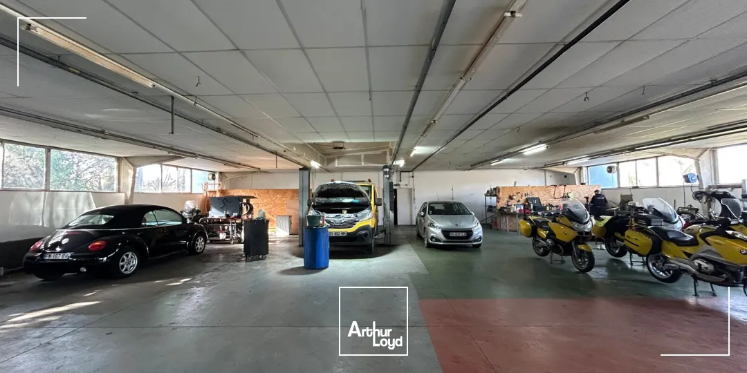 Locaux d'activité & Entrepôts - Location - CHATEAUBRIANT - 44110 - 646-646 - 7746413