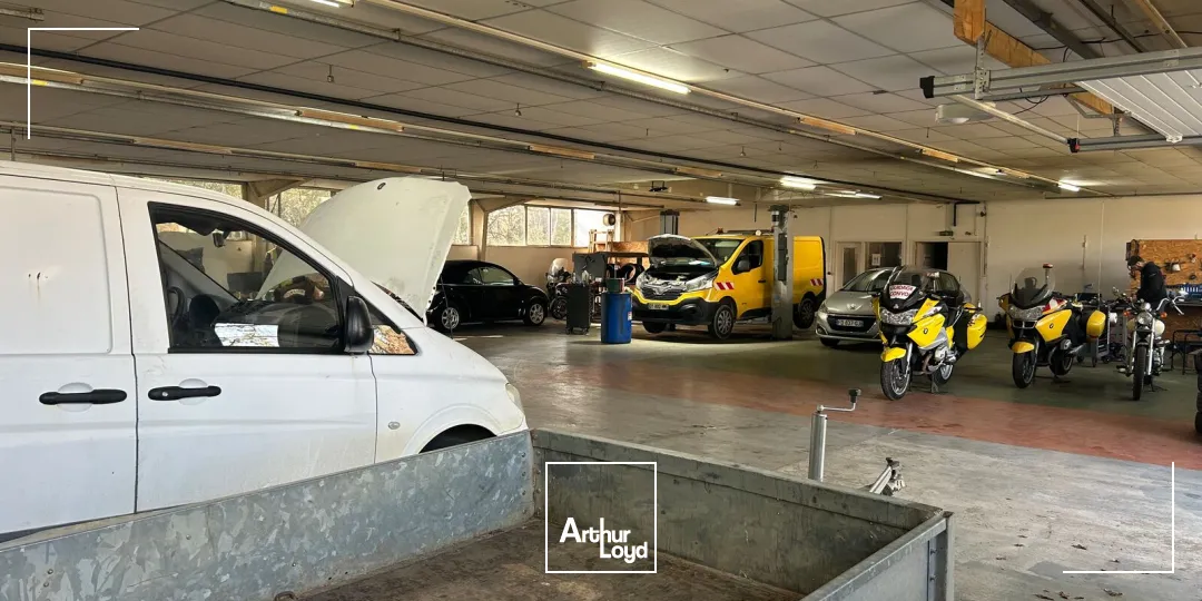 Locaux d'activité & Entrepôts - Location - CHATEAUBRIANT - 44110 - 646-646 - 7746414