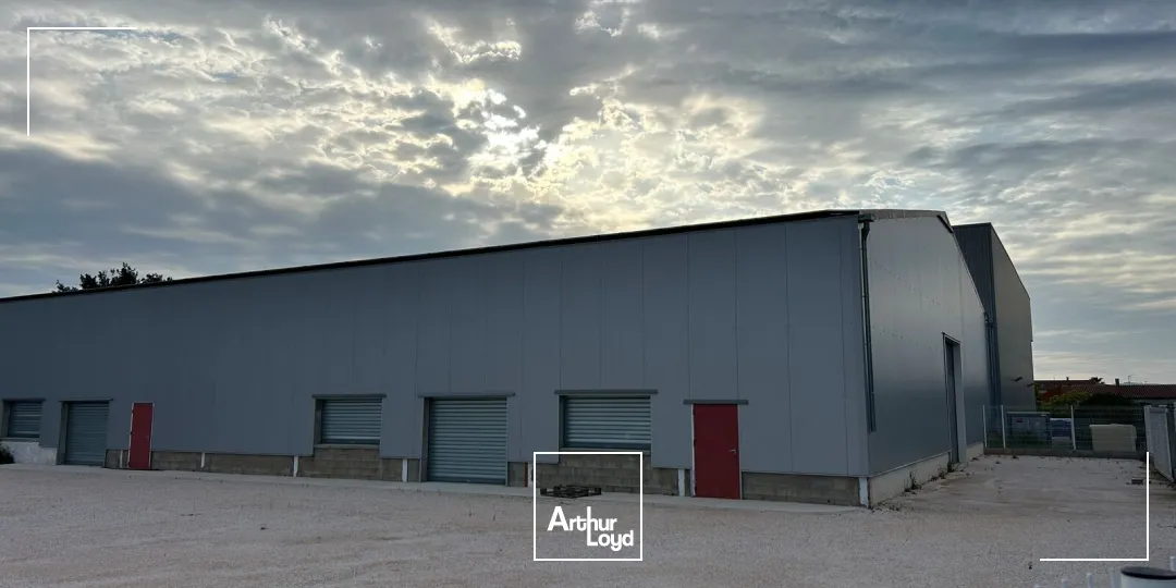 Locaux d'activité & Entrepôts - Location - ARGELES SUR MER - 66700 - 1050-1050 - 7746533