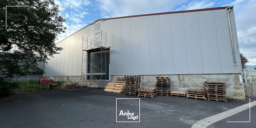 Locaux d'activité & Entrepôts - Location - ARGELES SUR MER - 66700 - 1050-1050 - 7746534