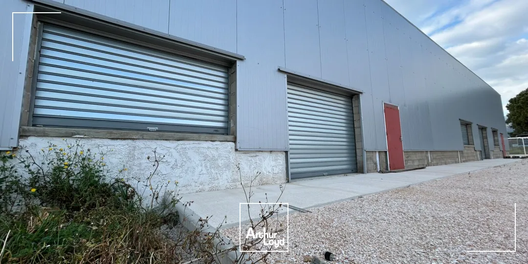 Locaux d'activité & Entrepôts - Location - ARGELES SUR MER - 66700 - 1050-1050 - 7746535