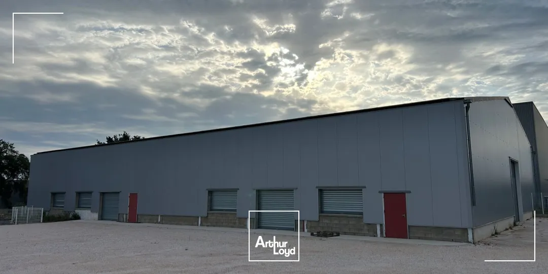Locaux d'activité & Entrepôts - Location - ARGELES SUR MER - 66700 - 1050-1050 - 7746537