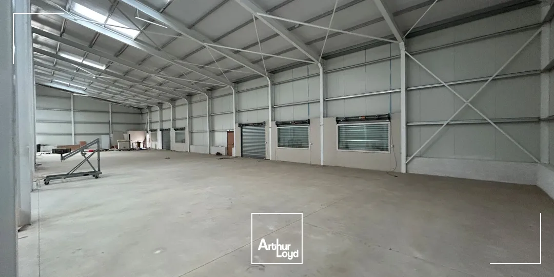 Locaux d'activité & Entrepôts - Location - ARGELES SUR MER - 66700 - 1050-1050 - 7746540
