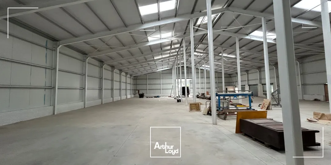 Locaux d'activité & Entrepôts - Location - ARGELES SUR MER - 66700 - 1050-1050 - 7746541