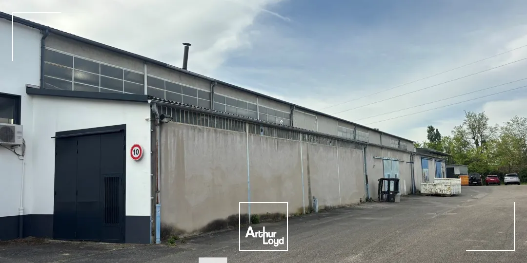 Locaux d'activité & Entrepôts - Vente - RILLIEUX LA PAPE - 69140 - 483-966 - 7746730