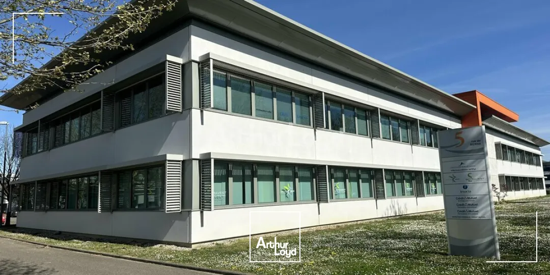 Bureaux - Vente - SCHILTIGHEIM - 67300 - 161-325 - 7746996