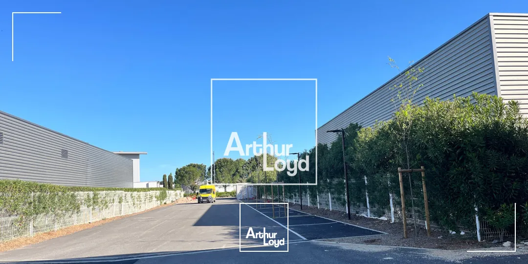 Locaux d'activité & Entrepôts - Location - GALLARGUES LE MONTUEUX - 30660 - 719.5-719.5 - 7747170