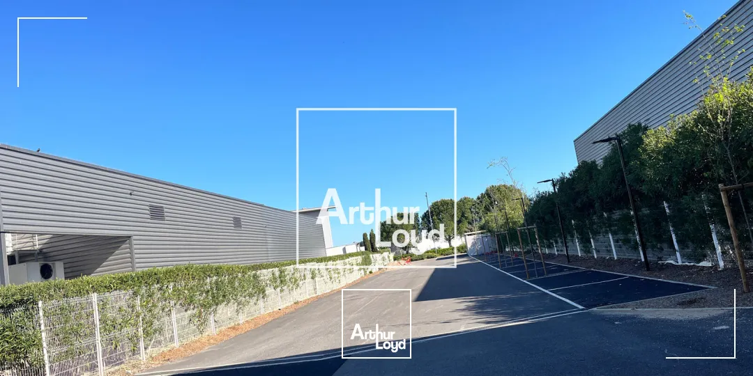 Locaux d'activité & Entrepôts - Location - GALLARGUES LE MONTUEUX - 30660 - 719.5-719.5 - 7747172