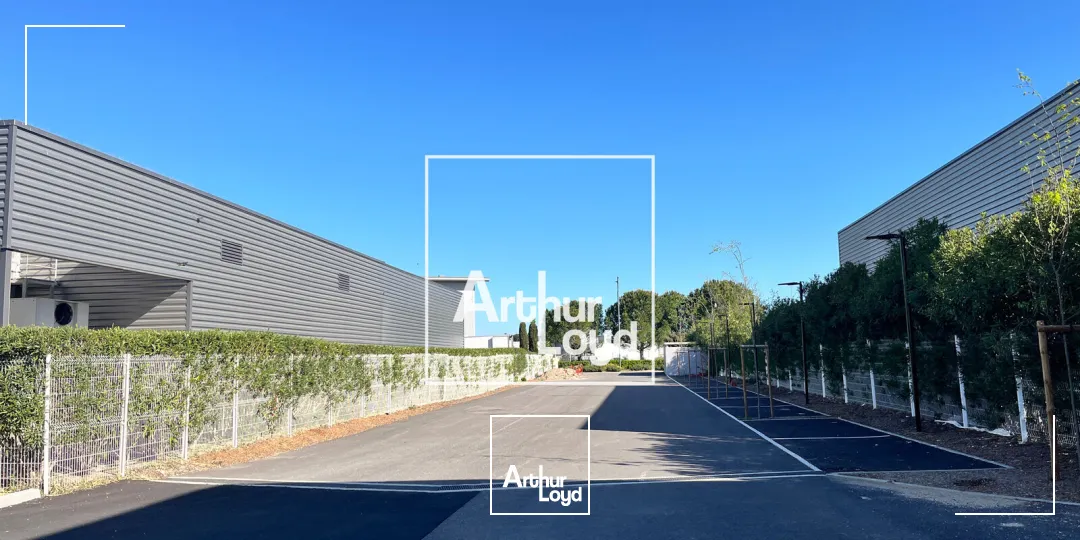 Locaux d'activité & Entrepôts - Location - GALLARGUES LE MONTUEUX - 30660 - 719.5-719.5 - 7747173