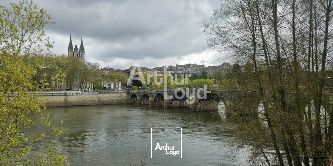 Locaux commerciaux - Location - ANGERS - 49100 - 330-330 - 7748031
