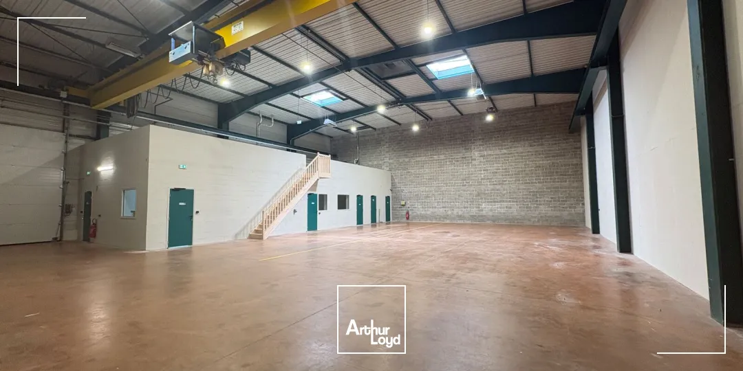 Locaux d'activité & Entrepôts - Location - OLIVET - 45160 - 653.3-653.3 - 7748357