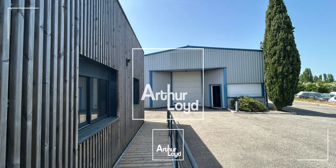 Locaux d'activité & Entrepôts - Vente - MONDOUZIL - 31850 - 665-665 - 7748731