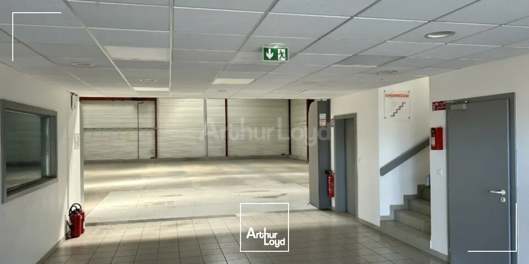 Locaux d'activité & Entrepôts - Location - COLMAR - 68000 - 795.55-795.55 - 7749008