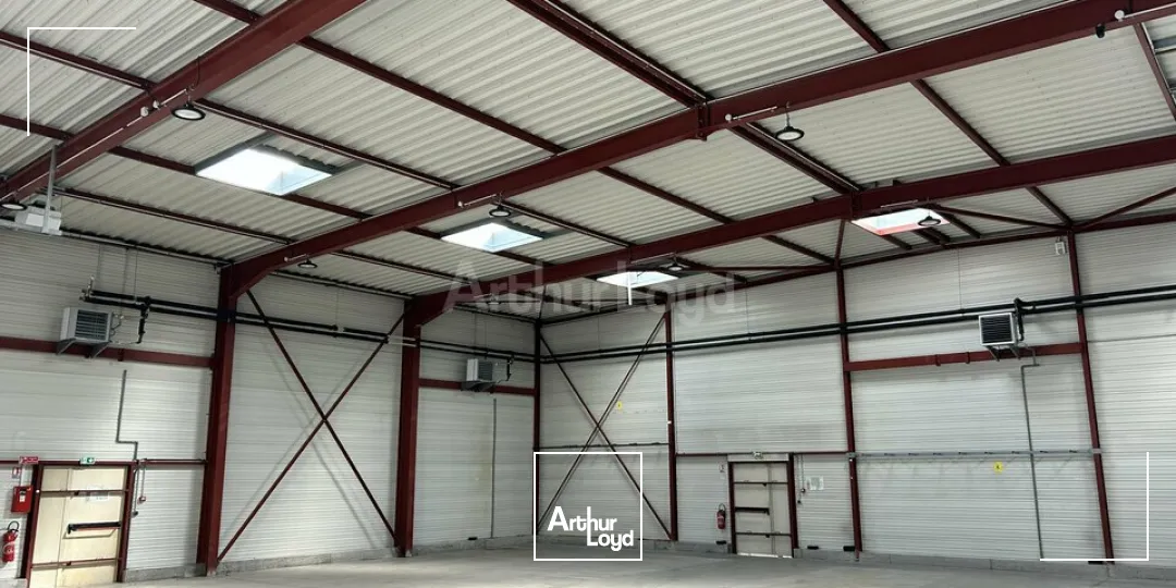 Locaux d'activité & Entrepôts - Location - COLMAR - 68000 - 795.55-795.55 - 7749009