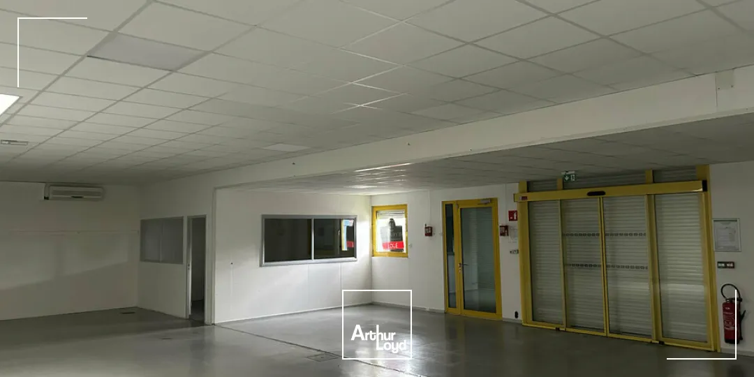 Locaux d'activité & Entrepôts - Location - SAUSHEIM - 68390 - 490-490 - 7749016