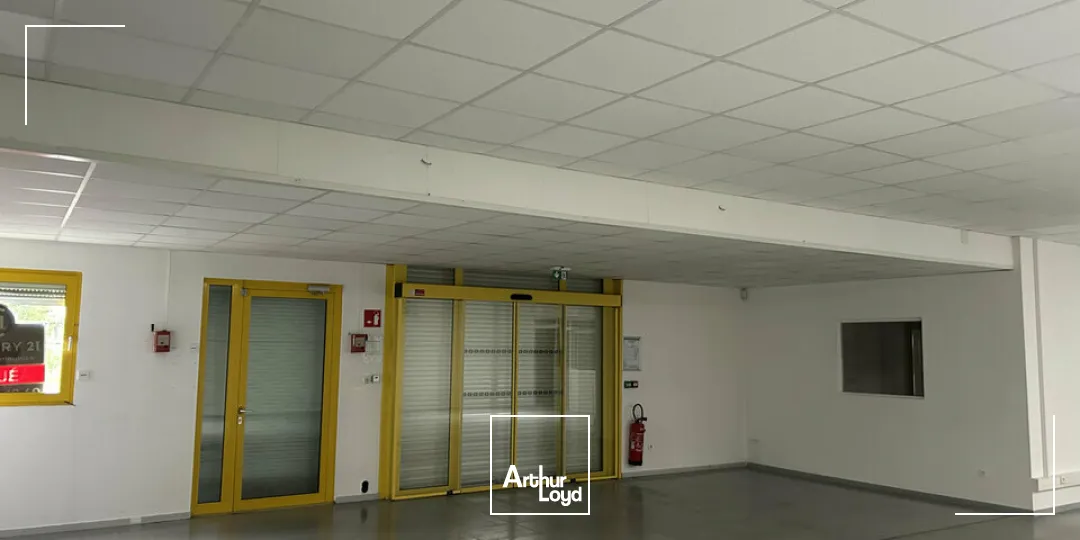 Locaux d'activité & Entrepôts - Location - SAUSHEIM - 68390 - 490-490 - 7749018