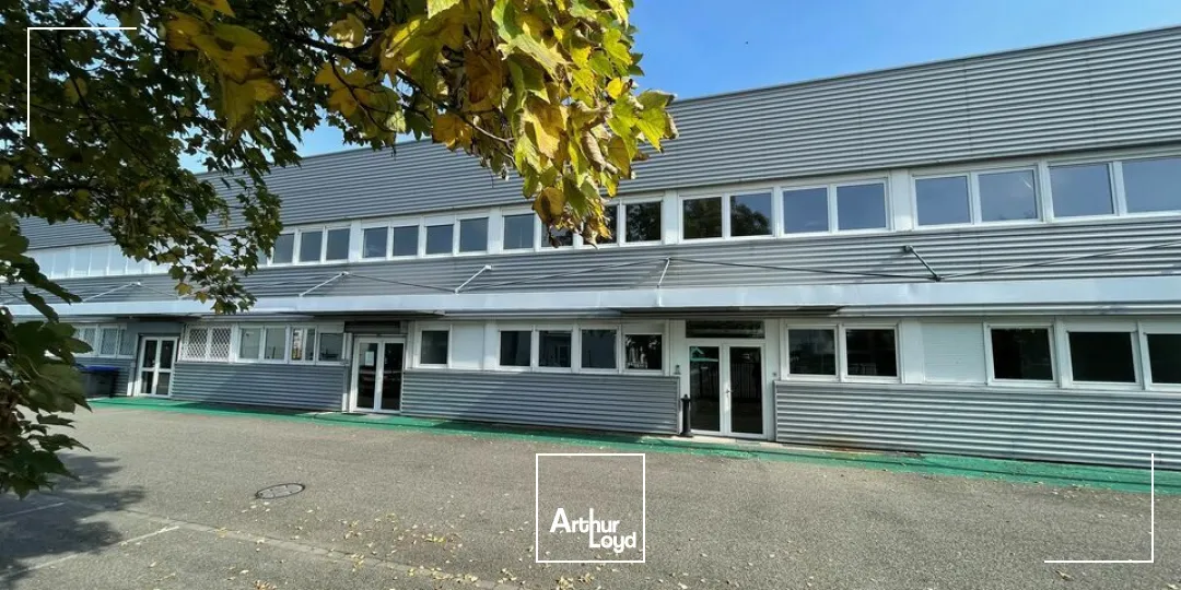 Locaux d'activité & Entrepôts - Location - MUNDOLSHEIM - 67450 - 728.5-728.5 - 7749022