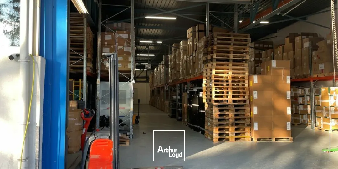 Locaux d'activité & Entrepôts - Location - MUNDOLSHEIM - 67450 - 728.5-728.5 - 7749027