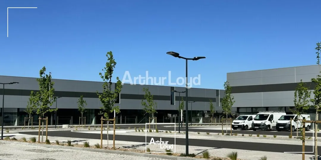 Locaux commerciaux - Location - COLMAR - 68000 - 583-583 - 7749040