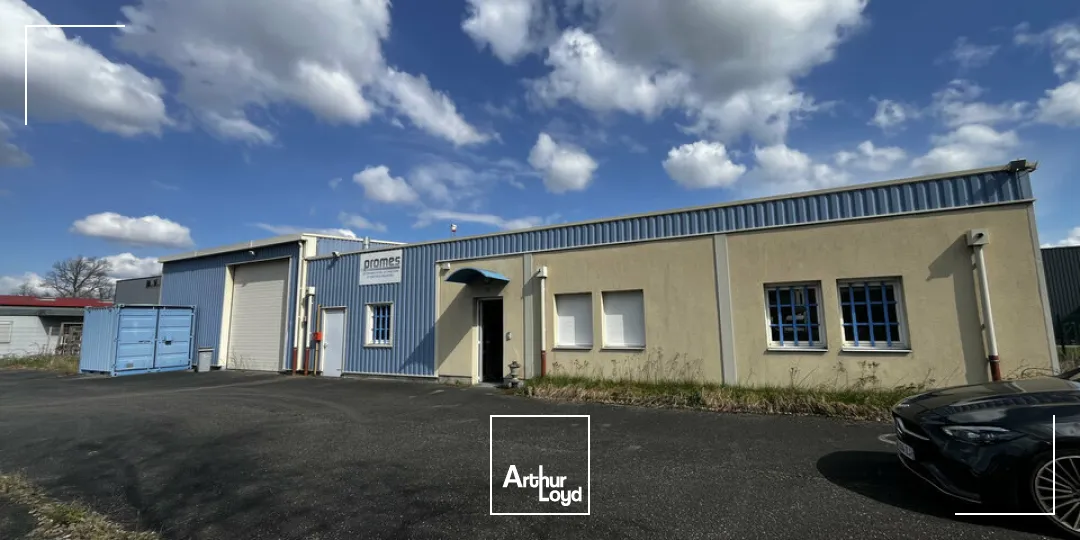Locaux d'activité & Entrepôts - Vente - CHÂTENOIS - 67730 - 413-413 - 7749048