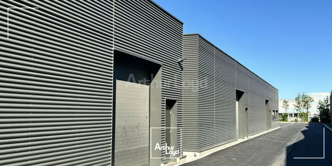 Locaux commerciaux - Location - COLMAR - 68000 - 595-595 - 7749062