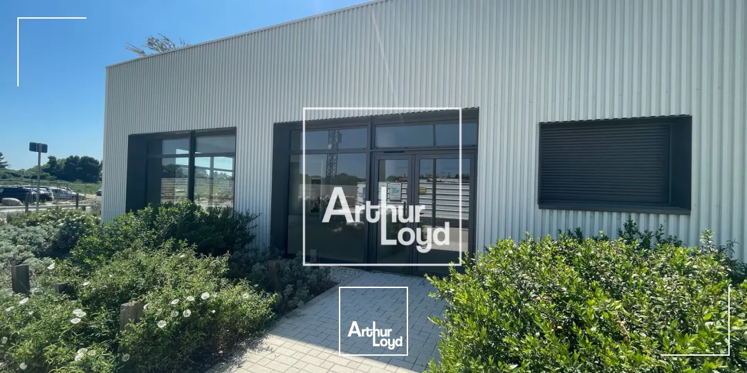 Locaux commerciaux - Location - MONTPELLIER - 34000 - 127-127 - 7749465