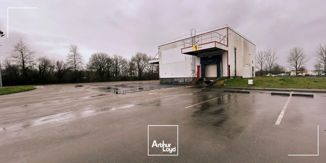 Locaux d'activité & Entrepôts - Vente - SAINT JEAN DE BOISEAU - 44640 - 478-478 - 7749506