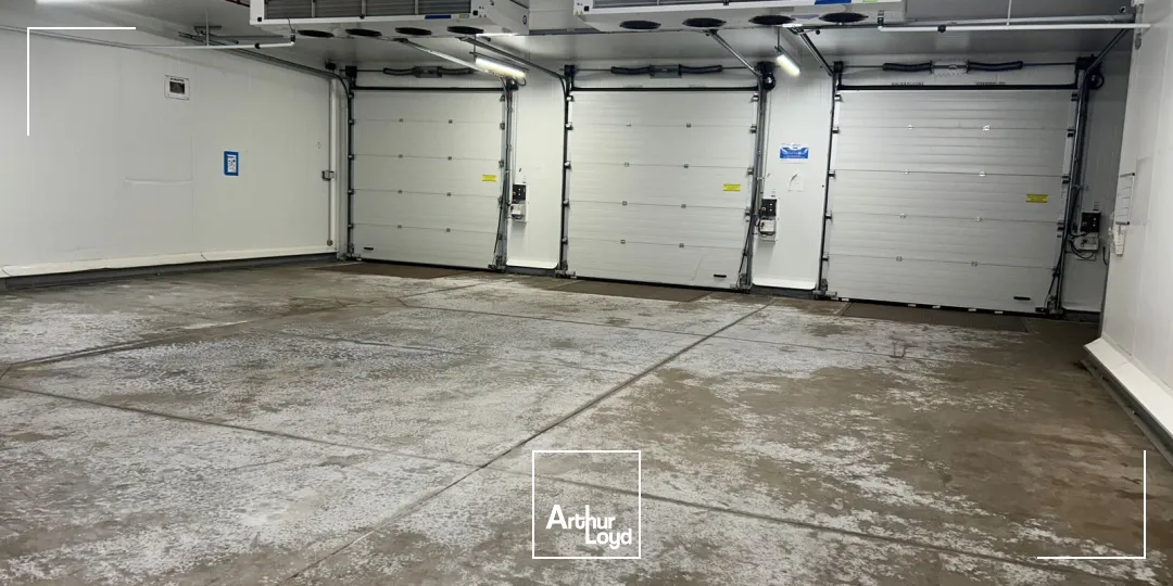 Locaux d'activité & Entrepôts - Vente - SAINT JEAN DE BOISEAU - 44640 - 478-478 - 7749508