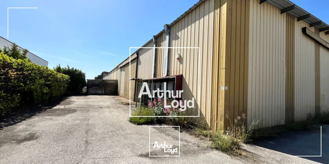 Locaux d'activité & Entrepôts - Location - NIMES - 30000 - 600-600 - 7751628