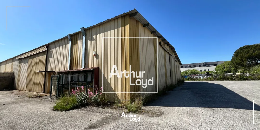 Locaux d'activité & Entrepôts - Location - NIMES - 30000 - 600-600 - 7751621