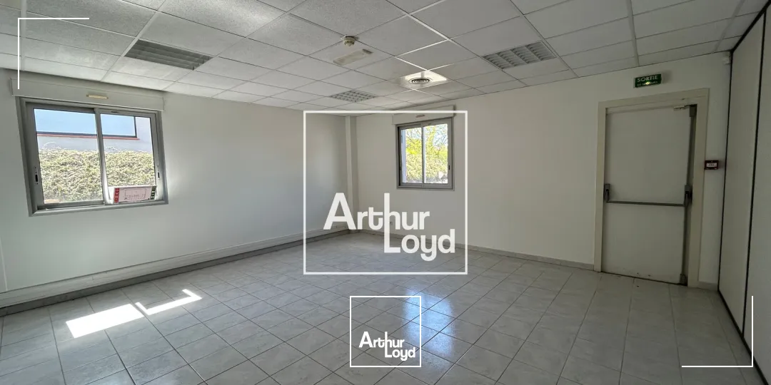 Locaux d'activité & Entrepôts - Location - MONDOUZIL - 31850 - 770-2962 - 7752008
