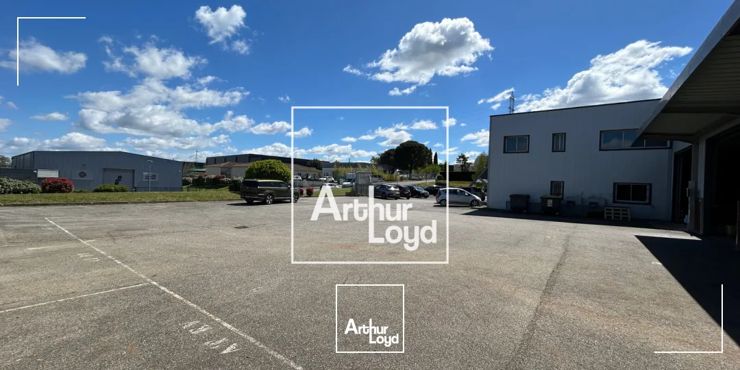 Locaux d'activité & Entrepôts - Location - MONDOUZIL - 31850 - 770-2962 - 7752006