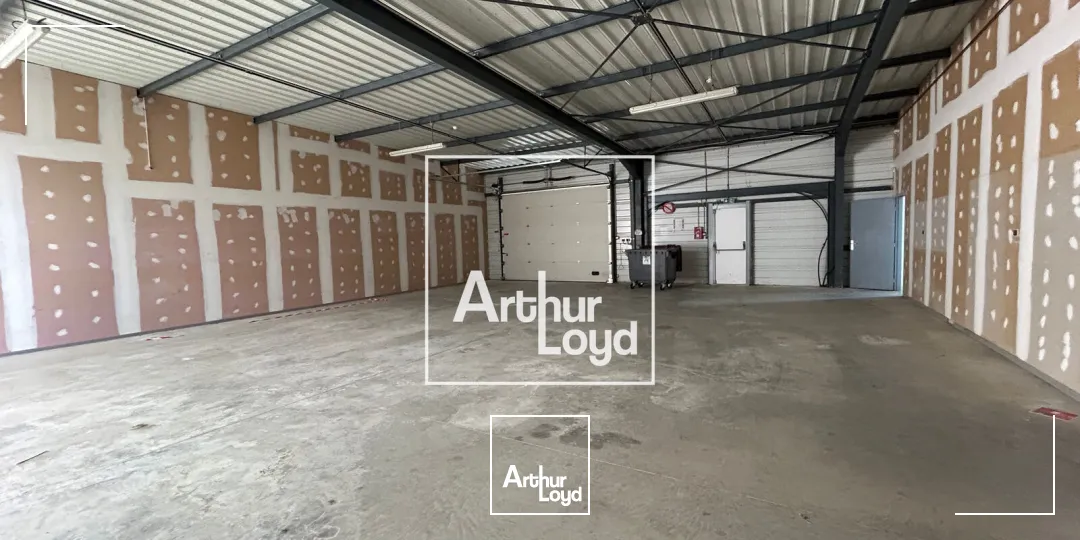 Locaux d'activité & Entrepôts - Location - MONDOUZIL - 31850 - 770-2962 - 7752010